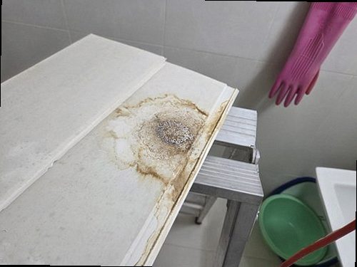 누수탐지 동탄동 누수탐지 벽지습기얼룩 생기기 전 미리 볼 점검 항목