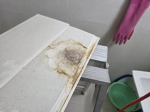 누수탐지 비봉면 누수탐지 천장도배곰팡이 원인 단계별 확인법