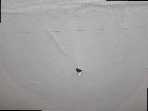 효행구 누수탐지 해솔동 아파트 4층 복도 천장 시공 후기 사진