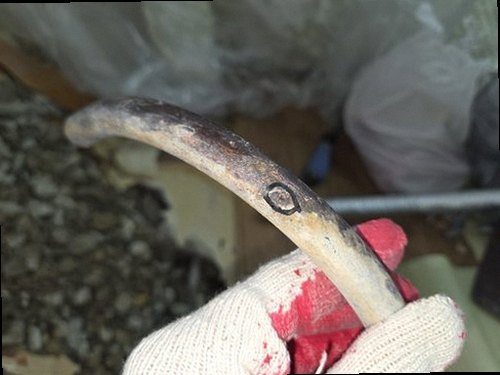 강남구 누수탐지 도곡동 아파트 8층 작은방 벽면 시공 후기 사진