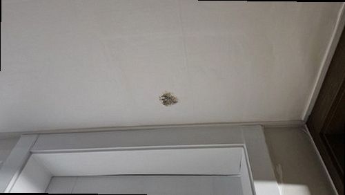 노원구 누수탐지 미세누수 정밀탐지
