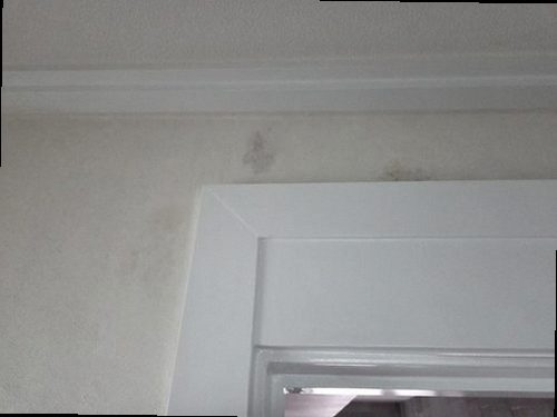 용산구 누수탐지 갈월동 오피스텔 9층 세탁실 바닥 시공 후기 사진