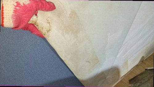 누수탐지 배관과 바닥 상태를 구분해 살펴보는 점검 도구