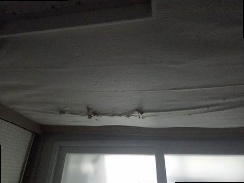 상록구 현장 확인