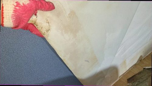누수탐지 김포시 하성면 누수탐지 빌라누수점검 비교로 보는 점검 기준