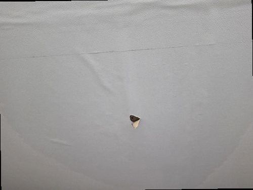 천안시 서북구 누수탐지 부대동 아파트 6층 다용도실 시공 후기 사진