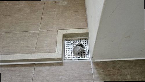 안성 현장 진단