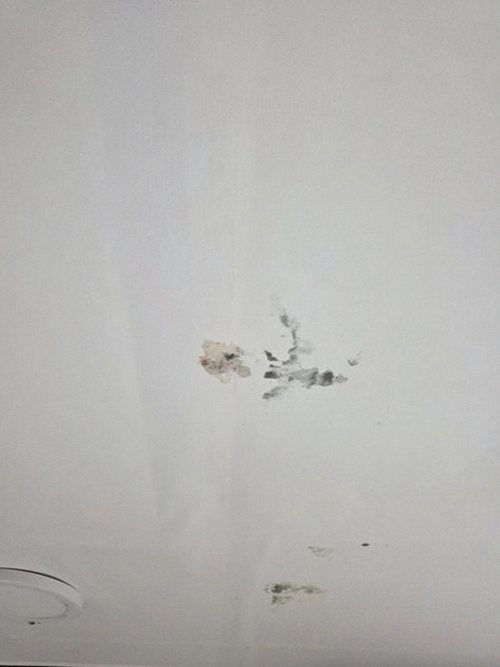 누수탐지 신설동 누수탐지 누수책임배상 범위를 당일 안에 가르는 방법