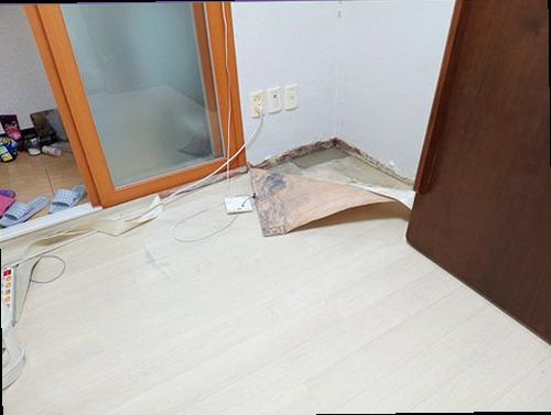 영등포구 누수탐지 보수 후 수분 상태를 다시 확인하는 점검 과정