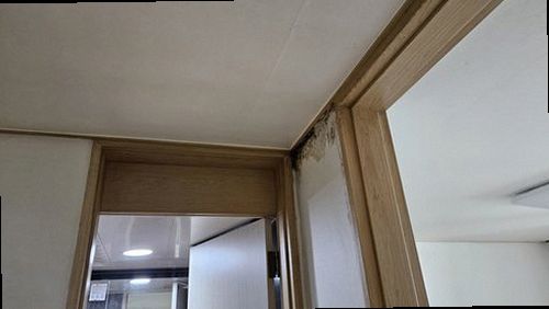 파주 누수탐지 급수관 누수