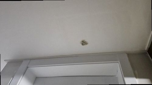 파주 누수탐지 운정동 오피스텔 8층 세탁실 시공 후기 사진