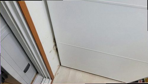 누수탐지 벽면 변색과 벽지 상태를 확인하는 현장 점검 모습