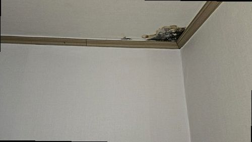 오산 누수탐지 외삼미동 아파트 10층 거실 시공 후기 사진