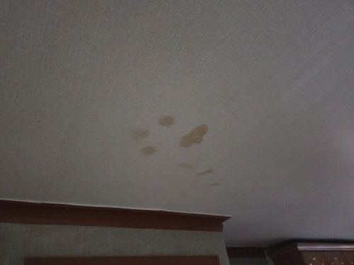 누수탐지 벽면과 바닥 주변의 수분 흔적을 함께 살펴보는 점검 장면