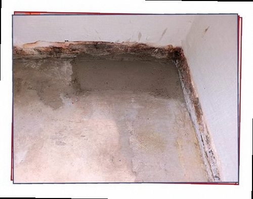 병점구 누수탐지 거실 벽면과 바닥의 습기 흔적을 확인하는 현장 점검
