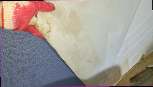 이천 누수탐지 계량기와 배관 주변을 점검하는 현장 모습