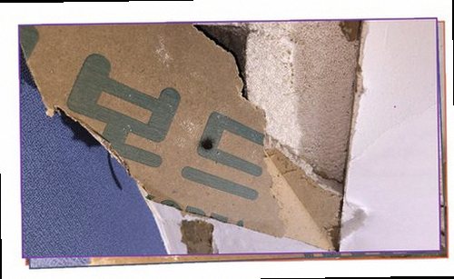 누수탐지 벽지 얼룩과 천장 경계부를 확인하는 점검 장면