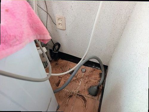 천안시 서북구 누수탐지 벽면과 바닥의 습기 흔적을 확인하는 점검 모습