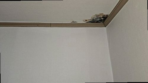 파주 출동 접수 파주 출동 접수