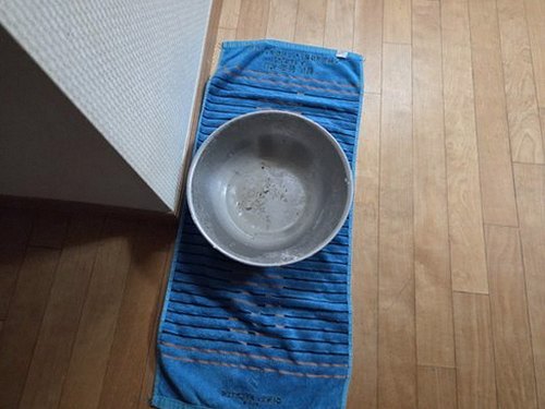누수탐지 통진읍 누수탐지 아파트 욕실 천장 얼룩의 숨은 원인