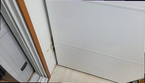 누수탐지 시흥시 연성동 누수탐지 누수얼룩 원인부터 마무리까지 깔끔하게