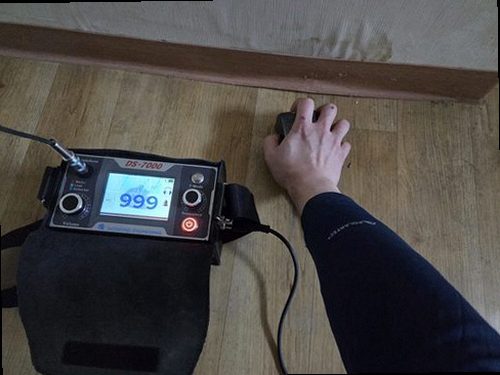 양평 함께 확인 양평 함께 확인