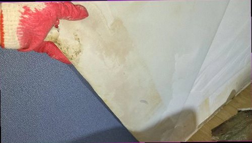 여주 누수탐지 천장과 벽면의 누수 흔적을 확인하는 점검 모습