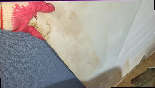 남양주 누수탐지 누수 의심 부위를 비교 점검하는 장면