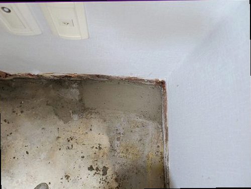 기흥구 누수탐지 배관과 보일러 주변 누수 여부를 확인하는 점검 장면
