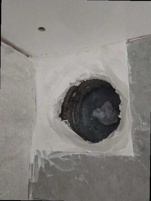 강북구 현장 확인