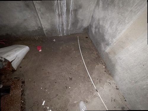 누수탐지 정왕동 천장물샘 3가지 원인, 비교로 찾는 방법