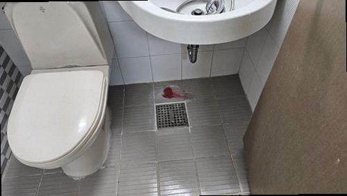 시흥 현장 확인