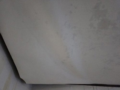 누수탐지 안방 벽면 습기 흔적을 점검하는 현장 모습