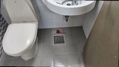 평택 누수탐지 오성면 단독주택 1층 욕실 문턱 시공 후기 사진