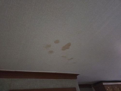 누수탐지 고양동 누수탐지 안방누수원인 개념부터 정리한 기본 안내