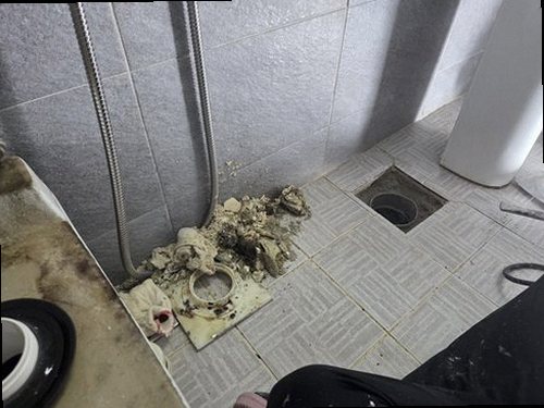 금천구 누수탐지 화장실·욕실 누수