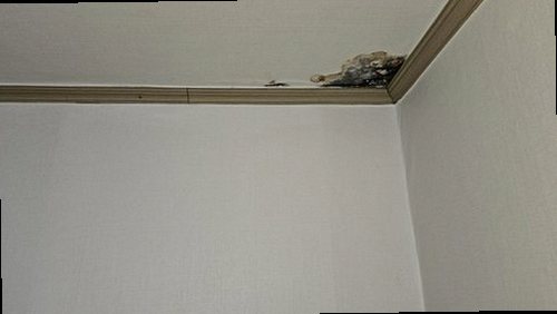 동안구 누수탐지 귀인동 아파트 15층 베란다 시공 후기 사진