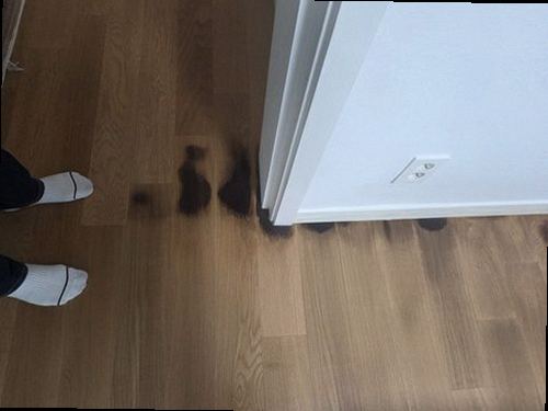 양평읍 아파트 12층 거실 천장 시공 후기 사진