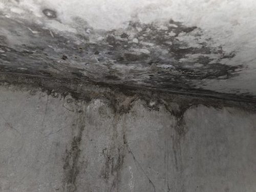 누수탐지 관고동 누수탐지의 기본 아파트 위층 화장실 물샘 원리