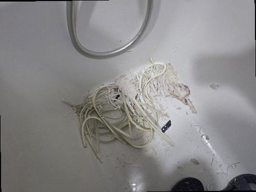 누수탐지 배관과 계량기 상태를 순서대로 확인하는 현장 점검