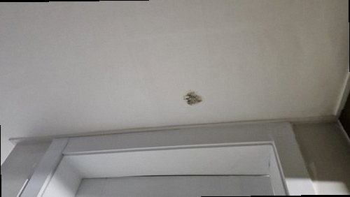 미세누수 정밀탐지 기흥구 누수탐지 미세누수 정밀탐지