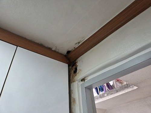 만안구 누수탐지 안양동 아파트 4층 거실 바닥 시공 후기 사진
