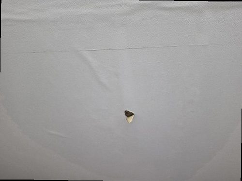 기흥구 누수탐지 급수관 누수