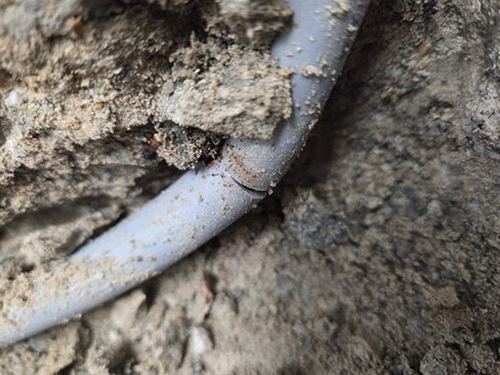 누수탐지 공사 후 배관 상태를 확인하는 점검 장면
