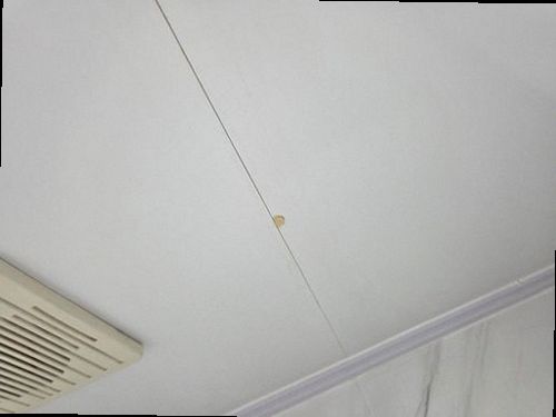 노원구 누수탐지 미세누수 정밀탐지