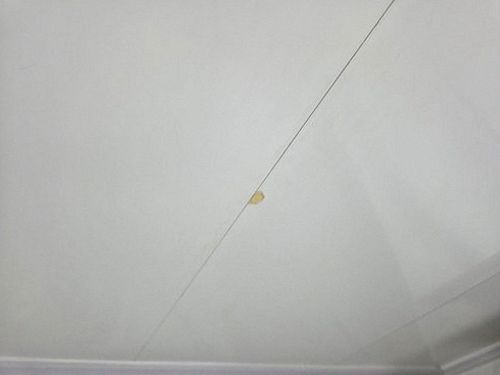 누수탐지 도화동 누수탐지 아파트 아래층 벽지 얼룩 살펴보는 법