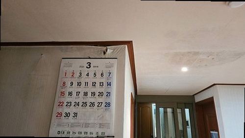천장 누수 시흥 누수탐지 천장 누수