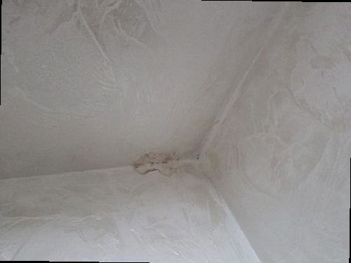 안성 누수탐지 미양면 전원주택 2층 창가 시공 후기 사진
