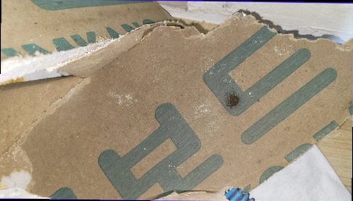 누수탐지 천장 얼룩과 바닥 상태를 함께 확인하는 현장 모습