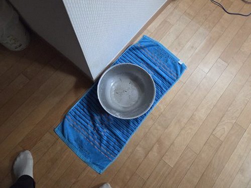 누수탐지 신천동 누수탐지 주택누수검사비용 어떻게 나뉠까
